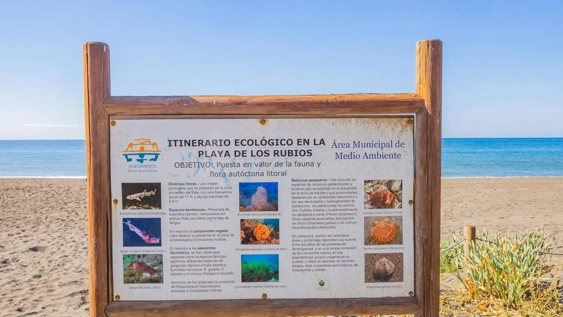 Cubo'S Hostal William'S Sunny 4 Torre de Benagalbon Guest house